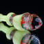 Small image 6
