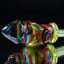 Small image 4