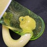 Small image 1