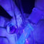 Small image 6