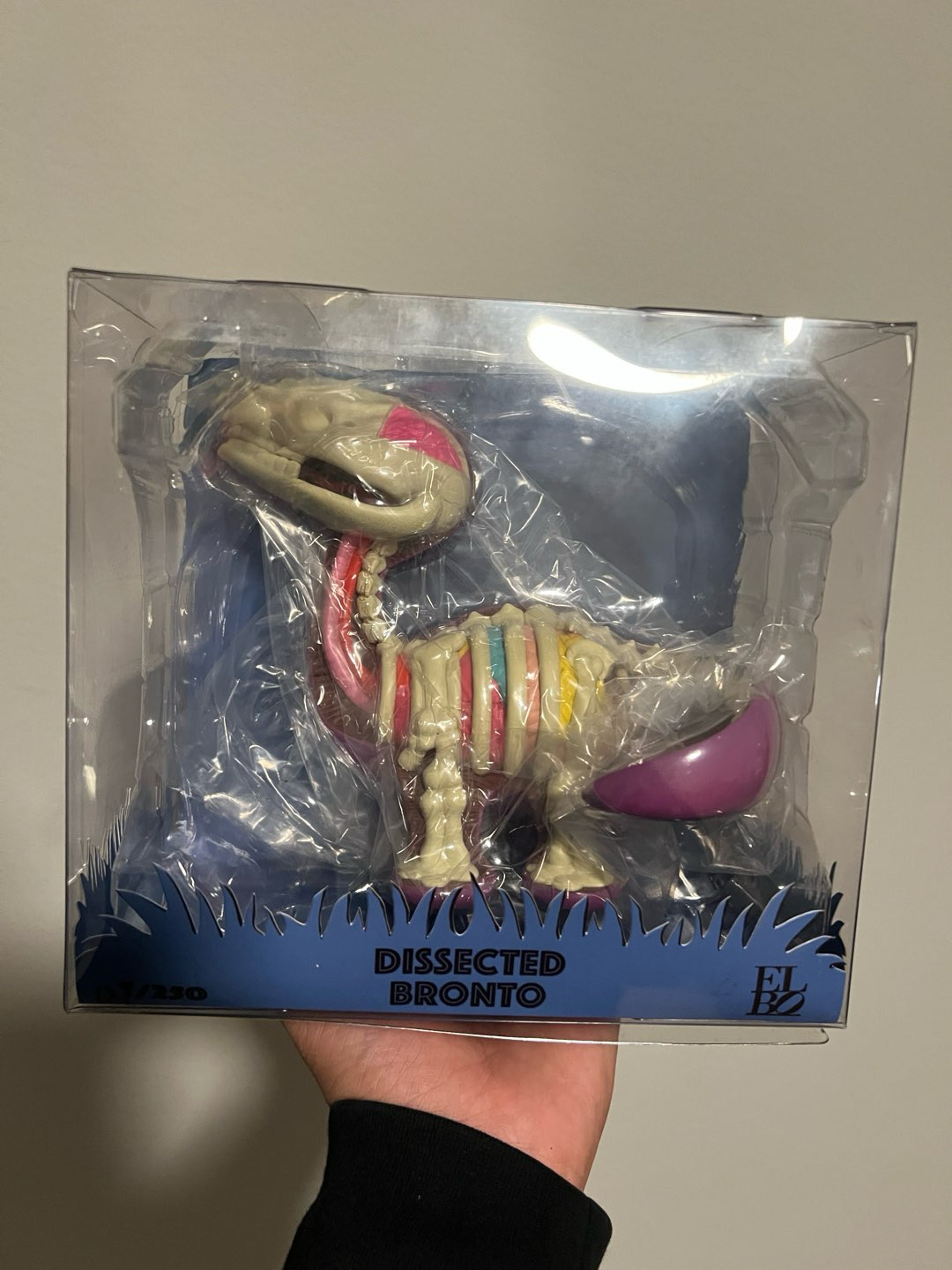 Preview pic of Elbo Dissected Bronto