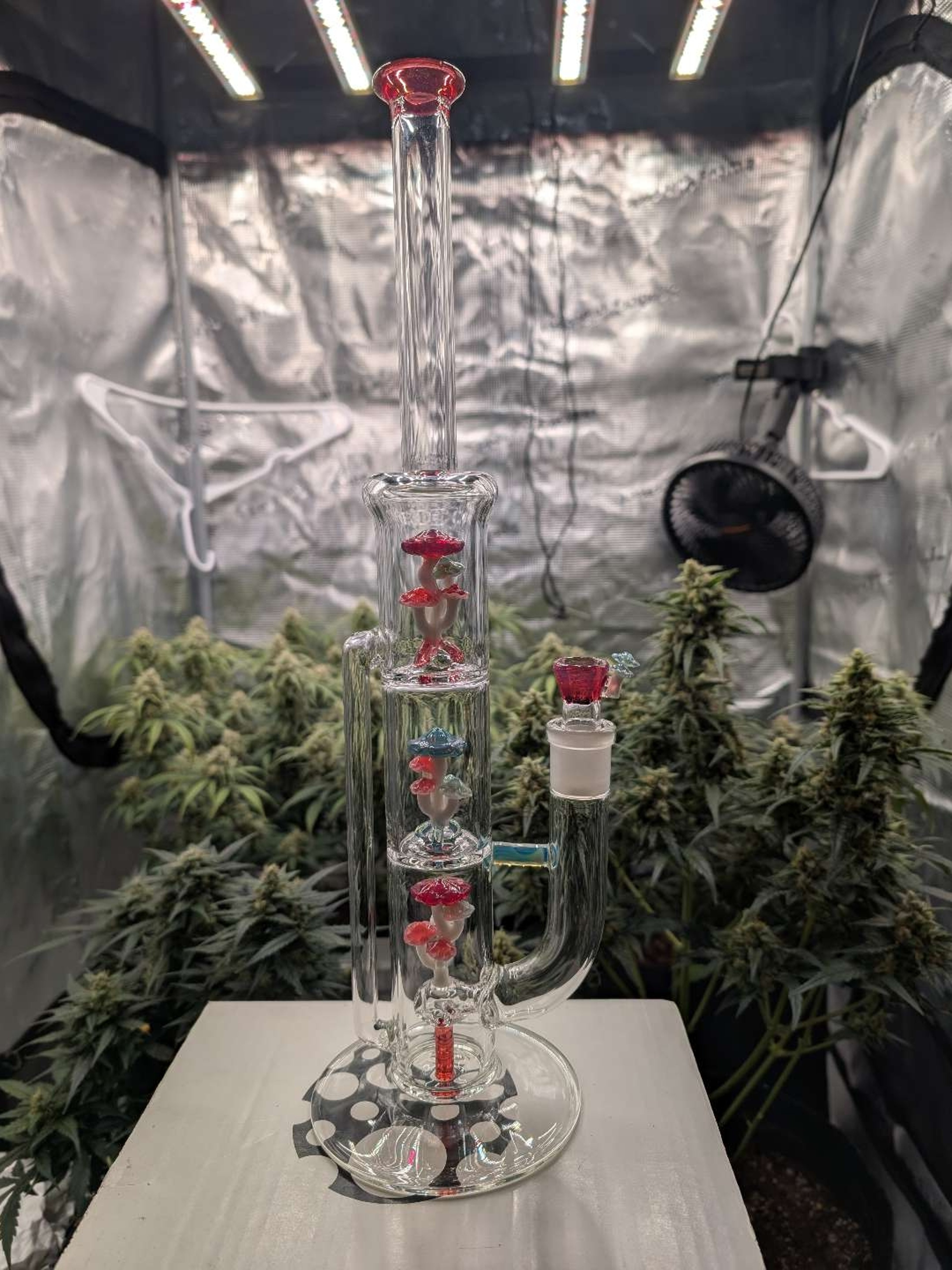 Preview pic of Ebittenglass shroomcycler