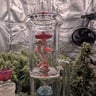 Small image 5