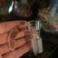 Small image 6