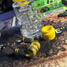 Small image 0