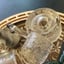 Small image 8