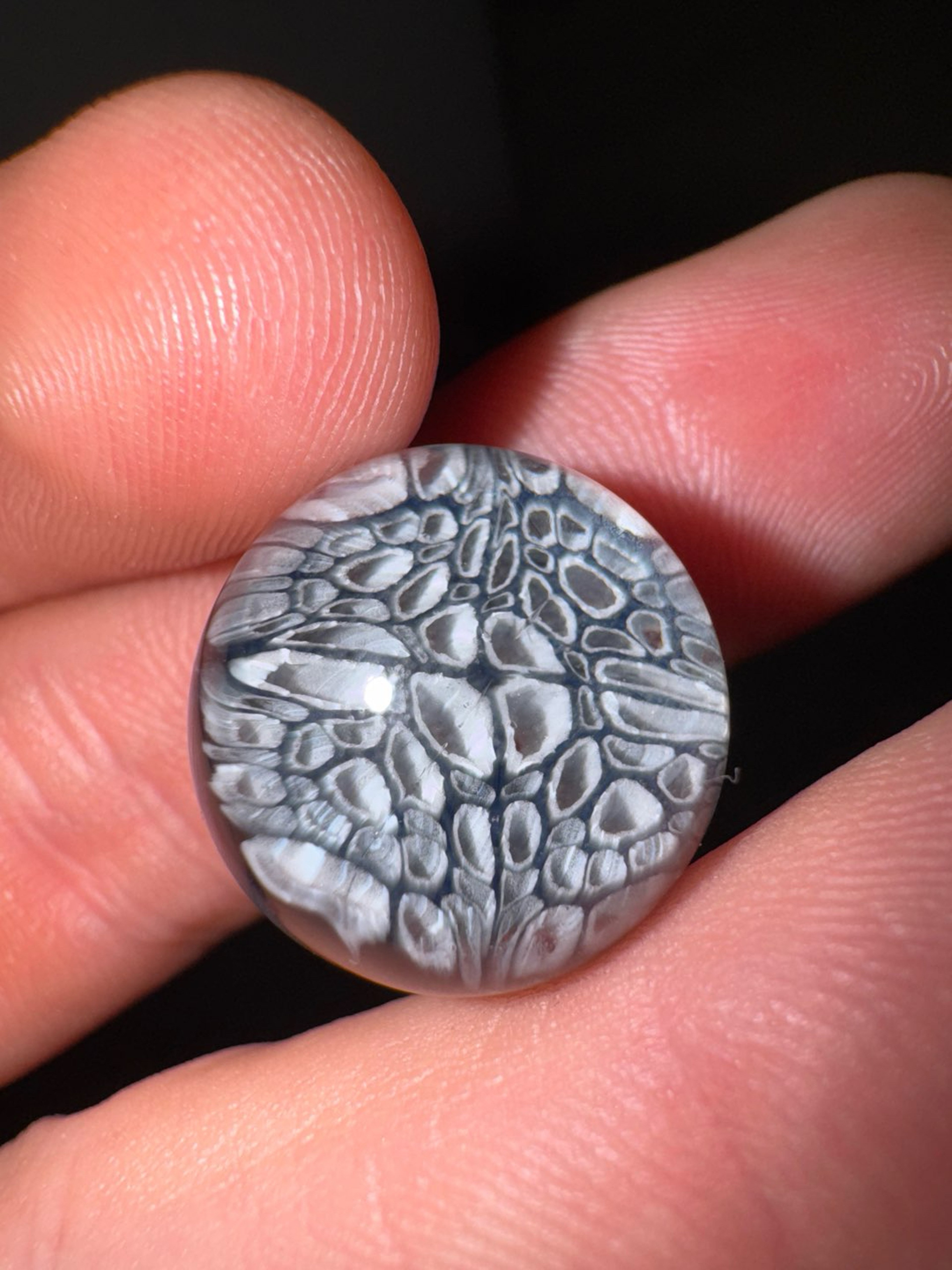 Preview pic of Whos Boro Marble