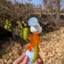 Small image 1