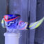Small image 5