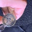 Small image 7