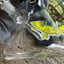 Small image 7