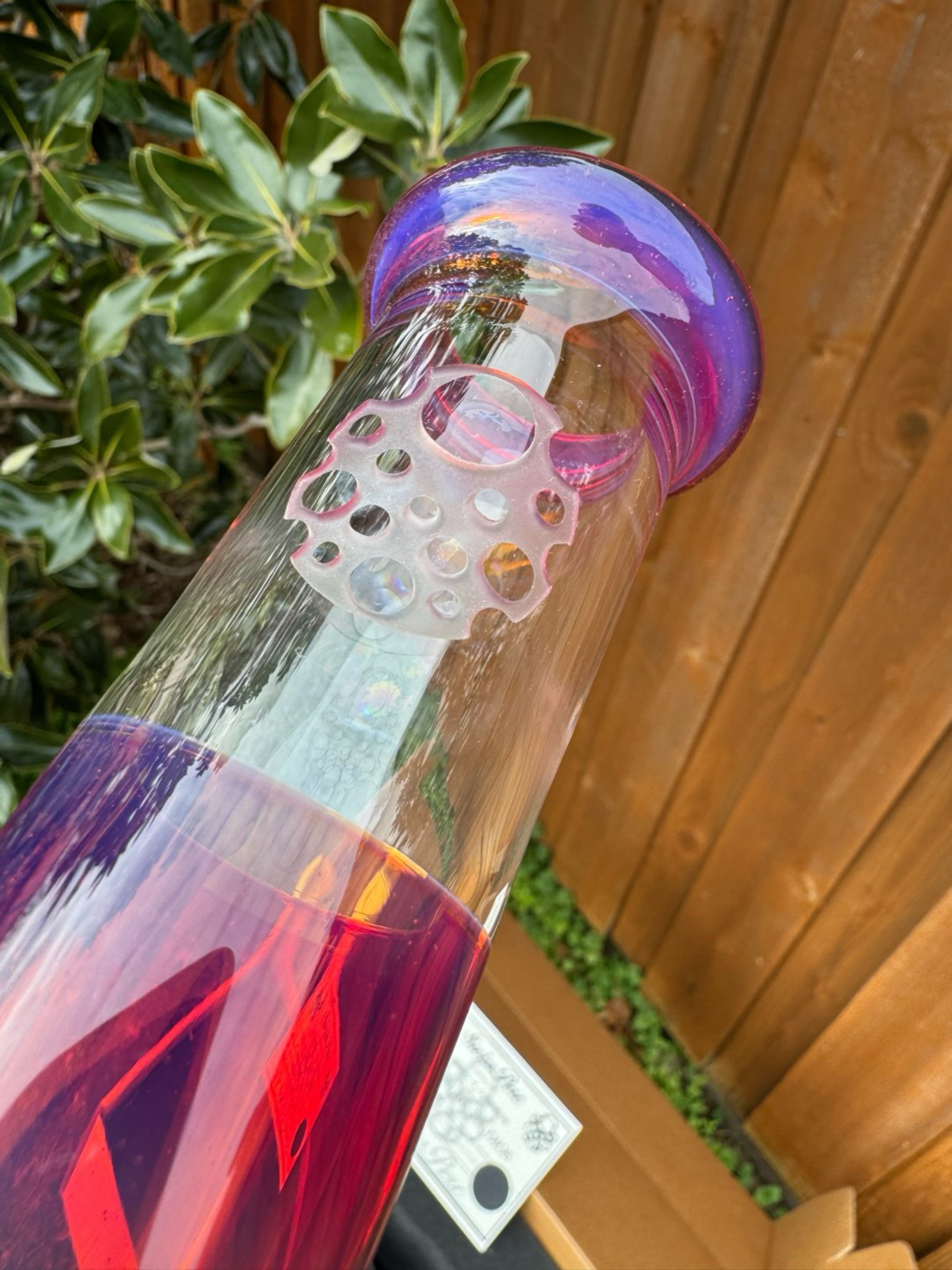 Preview pic of 2020 Purple Rainbow SwissPerc Studios