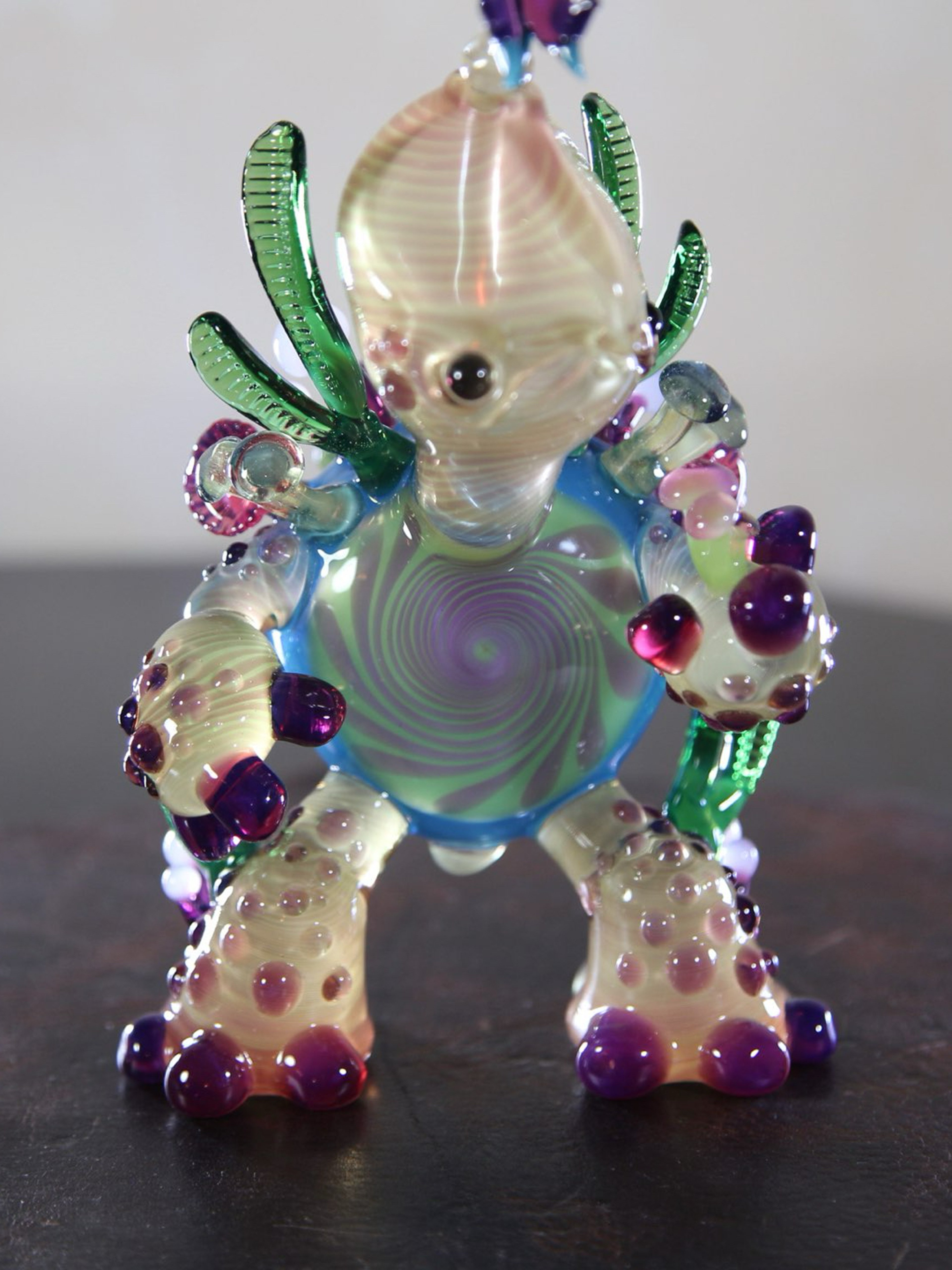 Preview pic of Crazy CFL Turtle