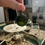 Small image 6