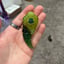 Small image 0