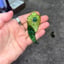 Small image 2