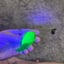 Small image 7