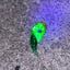 Small image 5
