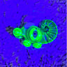 Small image 5