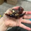 Small image 5