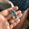Small image 1