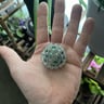 Small image 5