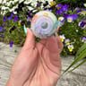 Small image 4