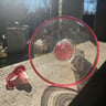 Small image 6