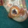 Small image 5