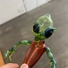 Small image 1