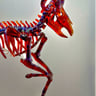 Small image 5