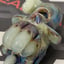 Small image 5