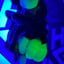 Small image 9