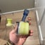 Small image 5