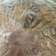 Small image 6