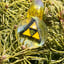 Small image 5