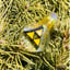 Small image 6
