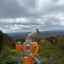 Small image 8