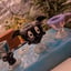 Small image 7