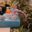 Small image 9