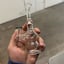 Small image 5