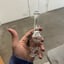Small image 7