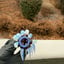 Small image 7