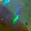Small image 8