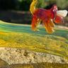 Small image 2