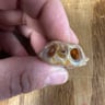 Small image 3