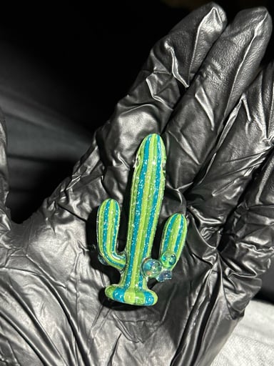 Preview pic of Darby cactus 🌵