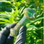 Small image 6