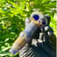 Small image 1