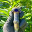 Small image 4